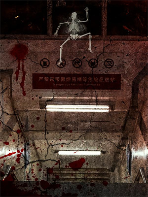 林書辭張庭後續