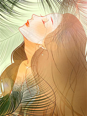 若無風雨便是晴完整版