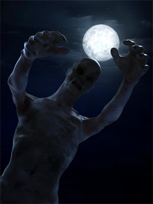 末世穿來的公主，開局先休駙馬後續