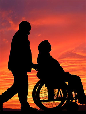 蘇薇薇顧長風大結局